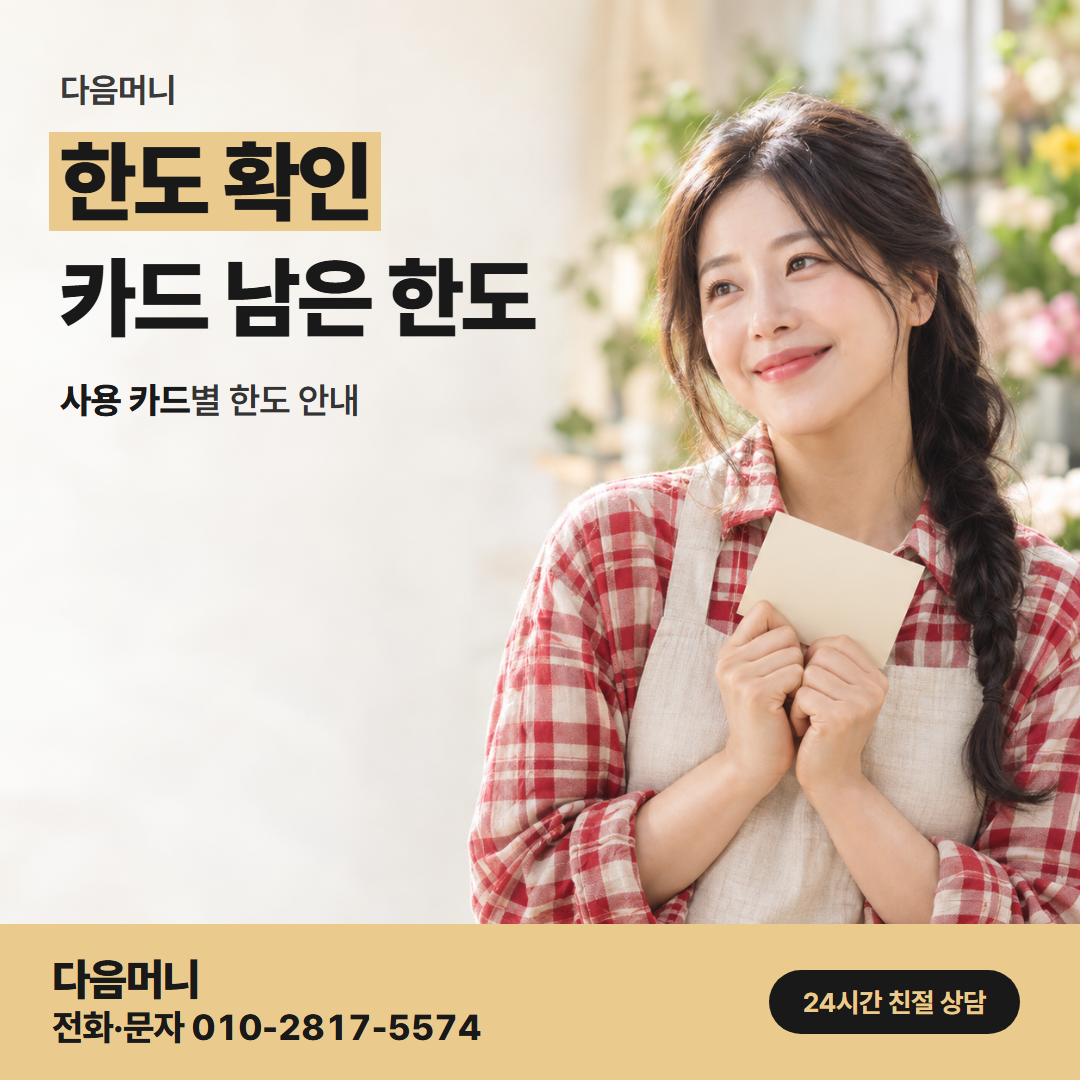 다음머니 완주카드깡 지출이 많은 달의 남은 한도