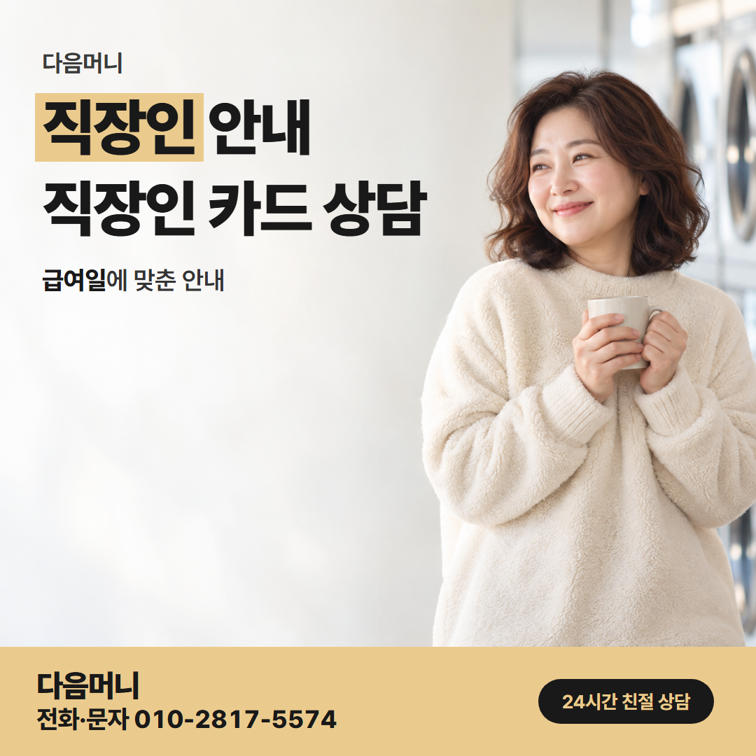 다음머니 완주카드깡 지출이 몰린 달의 개인 카드